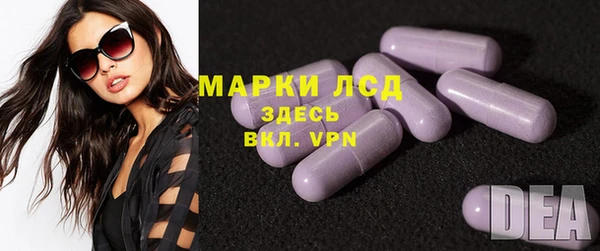 индика Бердск