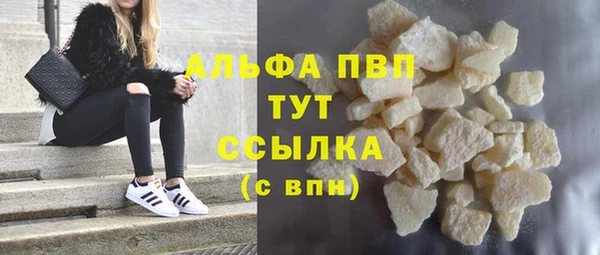 гашик Нея