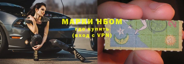 гашик Нея
