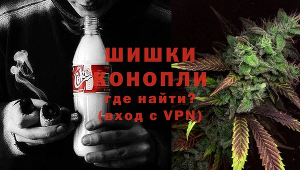 гашик Нея