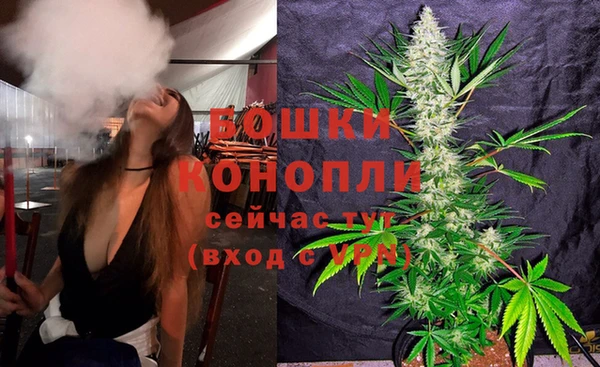гашик Нея