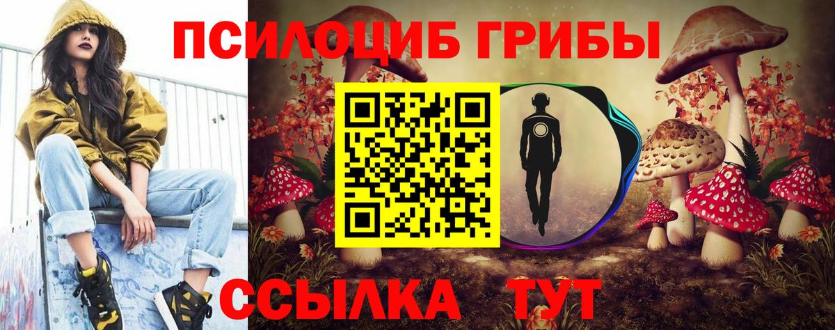 Галлюциногенные грибы GOLDEN TEACHER  Вход с VPN  Благовещенск 